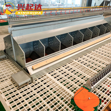 Automatic Egg Collection System for Chicken Nesting Boxes