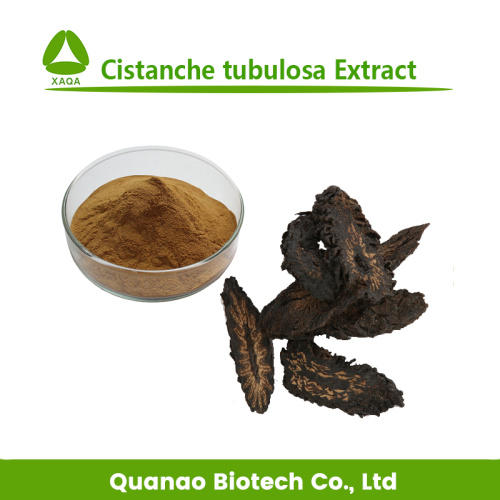 Natürliche Cistanche-Deserticola-Extrakt-Pulver Preis