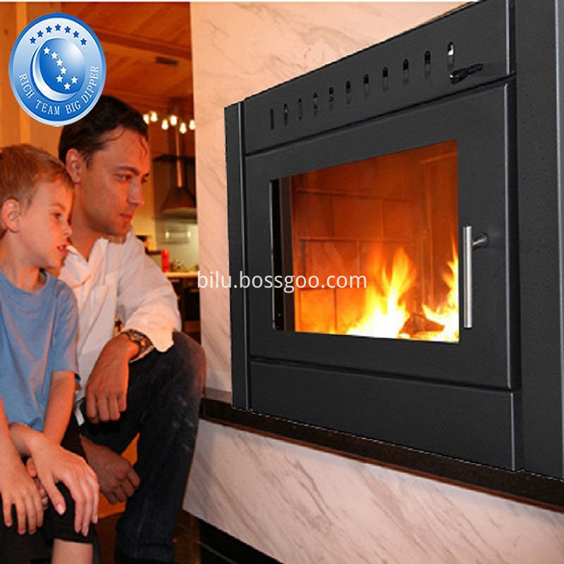 Fireplace Inserts Wood Stove Sale Price