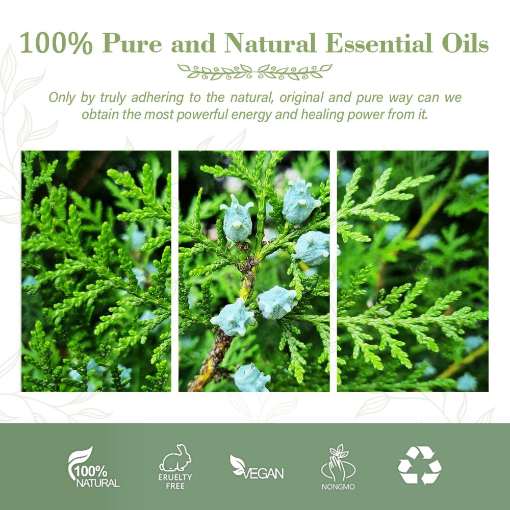 Huile essentielle de Thuja 100% pure pour les soins de la peau Aromathérapie nourrissante