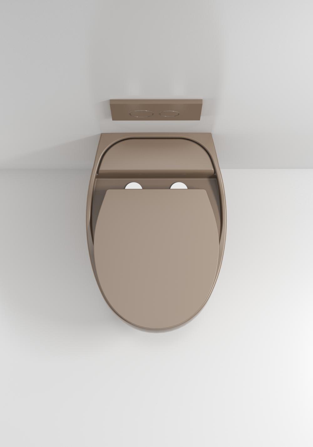 Lion Wall Hung Toilet052