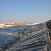 HDPE Smooth Geomembrane for Construction Companies