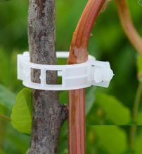 Tomato Clips In Round Shape