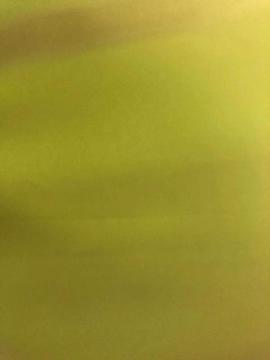 100% Polyester Bed Sheet PFD Fabric