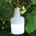 Nieuwste campinglamp LED -licht