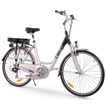 2012 New Electric Bicyle
