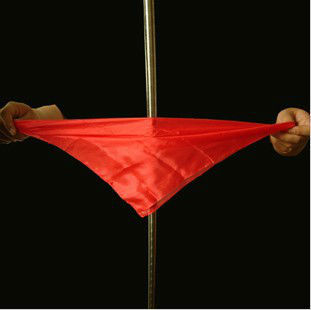 The Raven Magic Tricks/ Great Visual Vanishing Coin Street Magic/magic toys/magic props