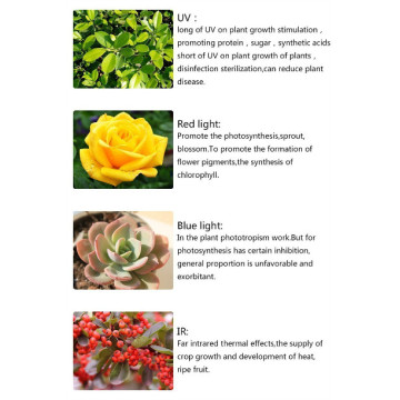 Switchable Veg/Flower Medical Plant LED Grow Light