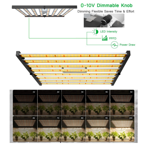 EU Cultura de stock Cultivar luz LED Samsung