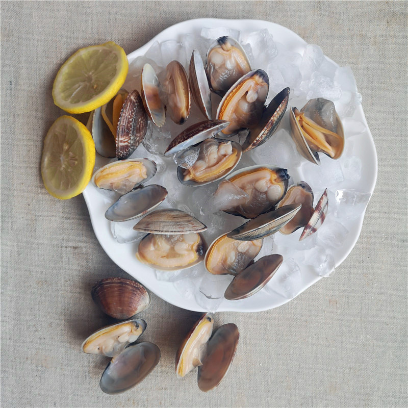 Wysokiej jakości zamrożony małż z krótkim szyją