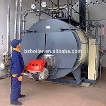 steam boiler for food industrial