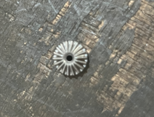 Precision gear components