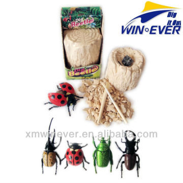 Plastic Bettle w/instruction, 4 assorted.