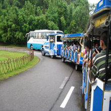 Chinese manufacture family fancy tourist equipment train