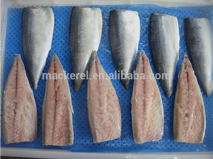 mackerel fillet