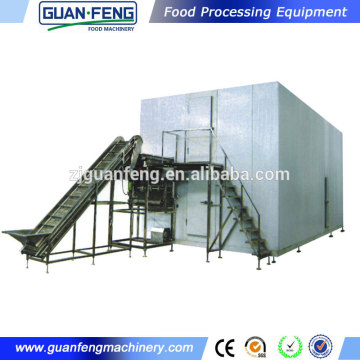 individual quick freezing machine IQF blueberries food freezing machine