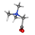 BETAINE لا مائي كاس. 107-43-7