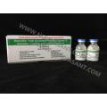 Amoxicilline + acide clavulanique injectable 1,2 g