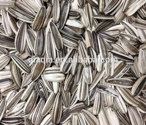 Best new crop fresh raw material for roasted sunflower seeds