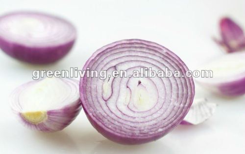 china fresh peeled yellow onion, 20kg carton packing