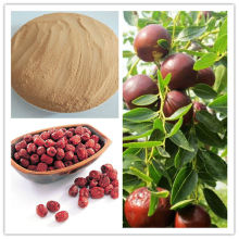 Organic Instant Red Jujube Powder