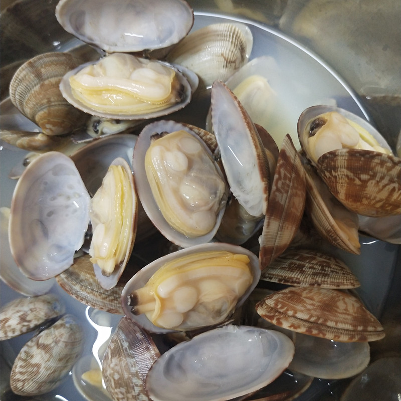 2021 new season short necked clam in shell