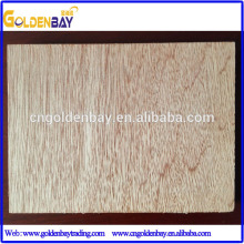 Linyi plywood/Linyi poplar plywood/poplar plywood