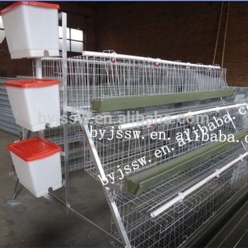 Chicken Cage For Sale/Steel Structure For Chicken House