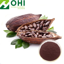 Natural Cacao Color / Cocoa Husk Extract Pigment