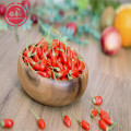 Bacca di Goji / Wolfberry / Nuova bacca di goji bio a coltivazione biologica