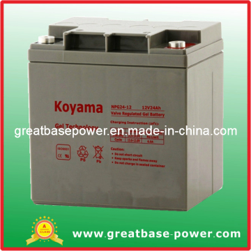 Good Thermal Stability Hybrid Battery Gel Battery 24ah 12V