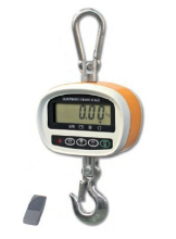 Digital Crane Scale