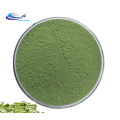 Vender polvo de hoja Moringa 100% a granel con reciclable