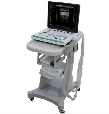 Portable Ultrasound Scanner system