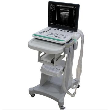 Machine à ultrasons numérique Portable B / W VET