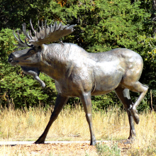 Popular Designs Life Size Bronze Metal Moose Sculpture