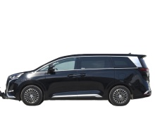 DENZA D-9 2024: All You Need to Know