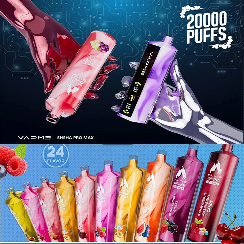 VapMe Shisha Pro Max 20000 Puffs Wholesale Slowenien China Fabrikant
