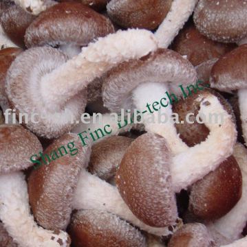 fresh shiitake mushroom-vegetable