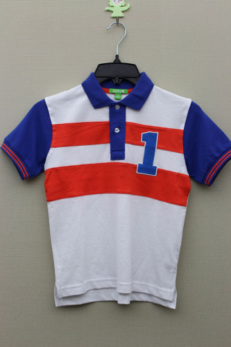 Boy's 100% Cotton Knitted Panel Polo with Small Embroider