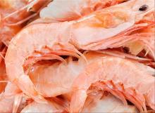 FROZEN PUD RED SHRIMP
