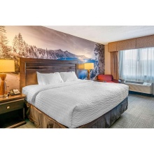 Contemporary Design Hotel Bedroom Sets: Clarion Pointe by Choice Project Furniture Update