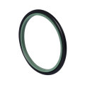Piston Rod Seal GSI Sealing Ring