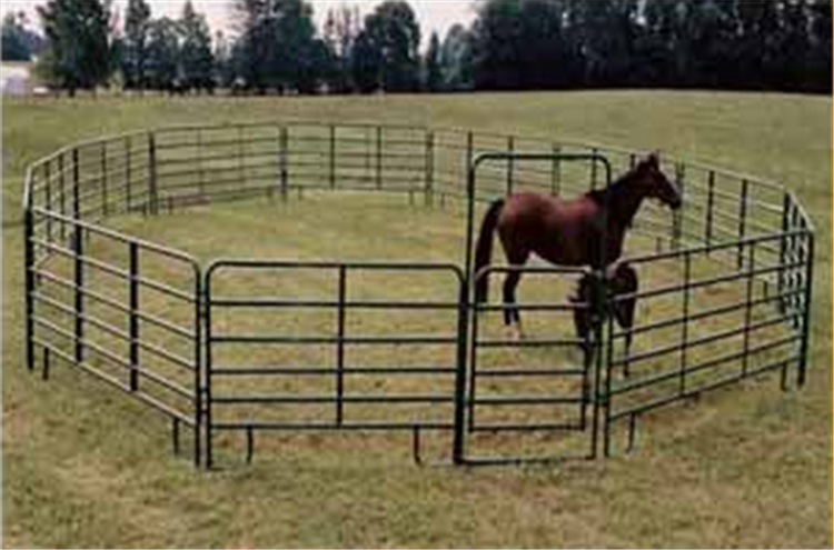 Hot Dipped Galvanized Horse Round Pens