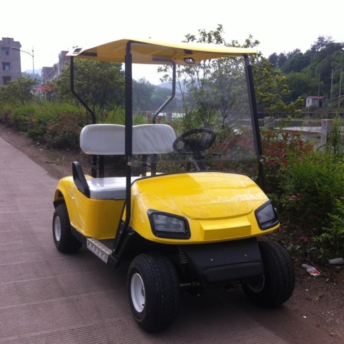 Hot sale electric golf cart 2 seats