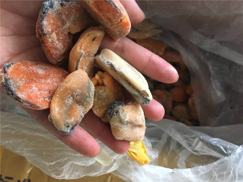 mrożone zielone odmiany mięso małży o cenie fabrycznej