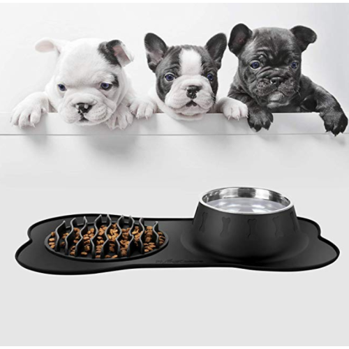 Slow Feeder en Pet Water Bowl Set