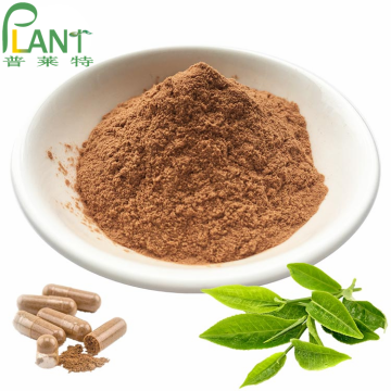 Green tea extract capsules raw catechin powder