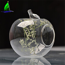 2020 New Design hanging glass air plant terrarium vases, decorative hanging glass terrarium
