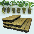 Pertanian Murah Rockwool Kiub Sistem Aquaponic Hydroponic Rock Wool